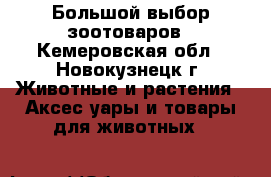 Большой выбор зоотоваров - Кемеровская обл., Новокузнецк г. Животные и растения » Аксесcуары и товары для животных   